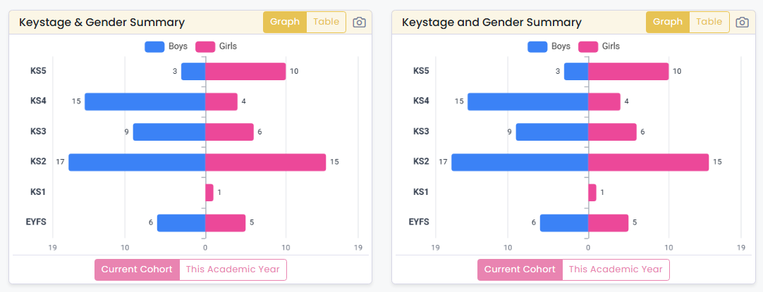 Key stage and gender summary